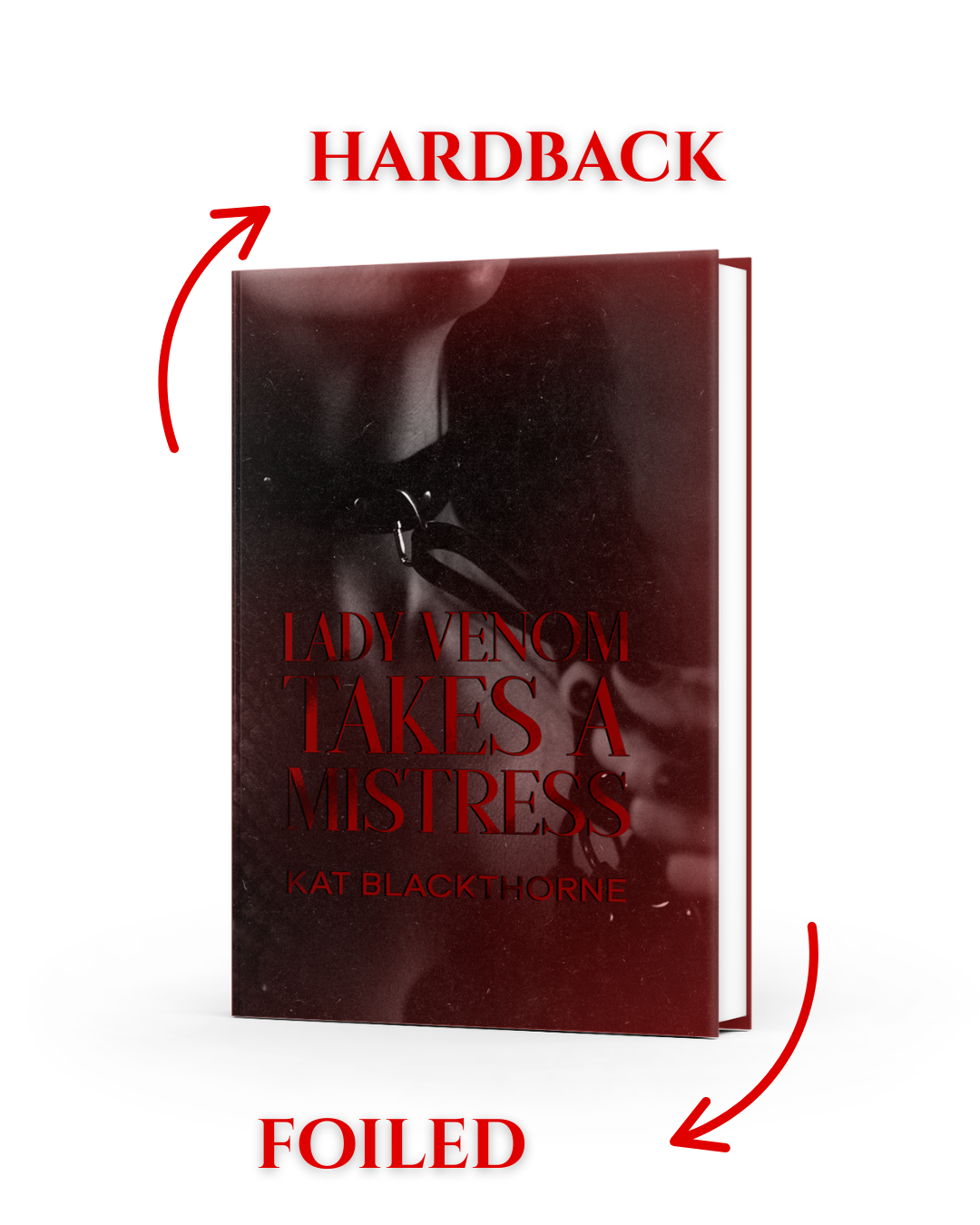 Lady Venom Takes A Mistress- Kat Blackthorne
